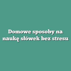 Domowe sposoby na naukę słówek bez stresu