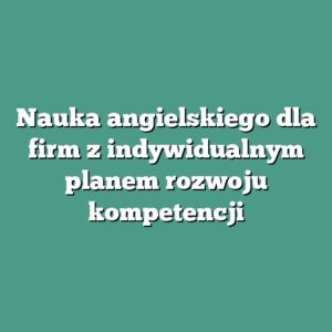 Nauka angielskiego dla firm z indywidualnym planem rozwoju kompetencji