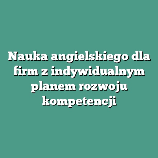 Nauka angielskiego dla firm z indywidualnym planem rozwoju kompetencji