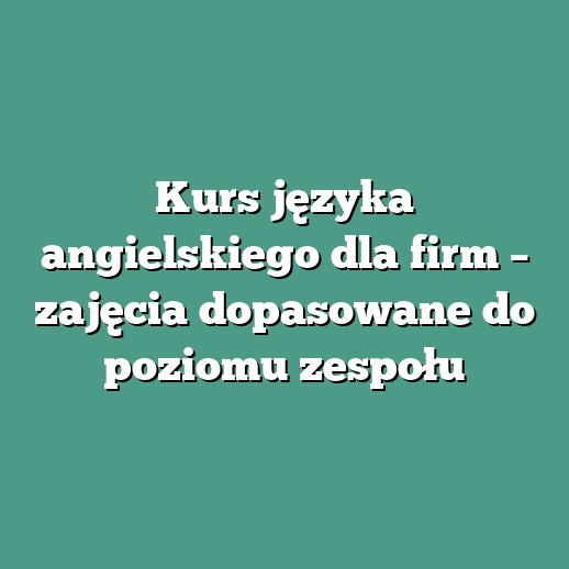 Kurs języka angielskiego dla firm – zajęcia dopasowane do poziomu zespołu
